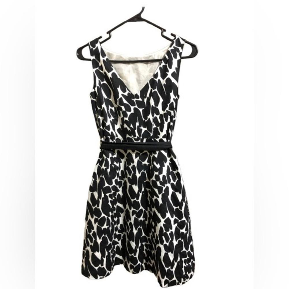 Ann Taylor Petite Dress with Belt